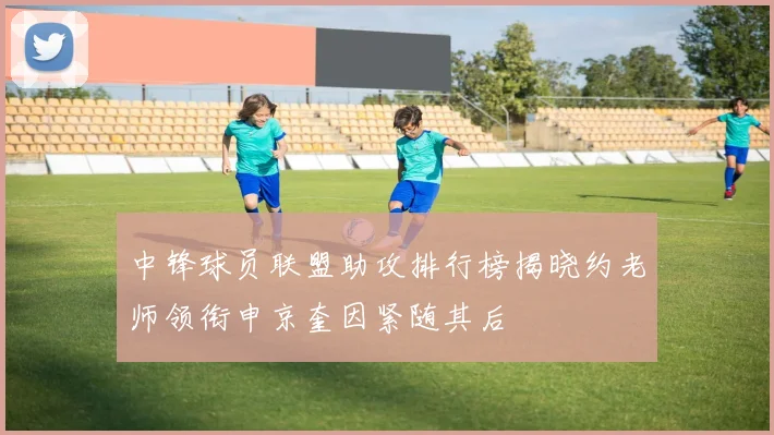 中锋球员联盟助攻排行榜揭晓约老师领衔申京奎因紧随其后