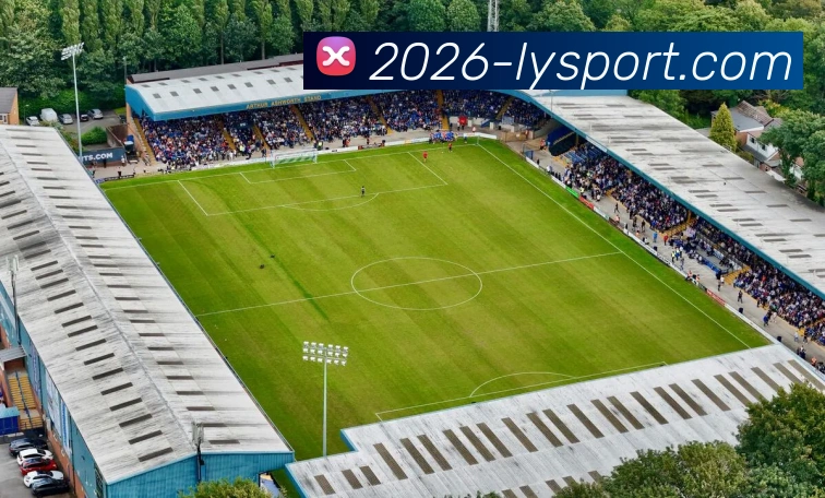 多媒体互动体验